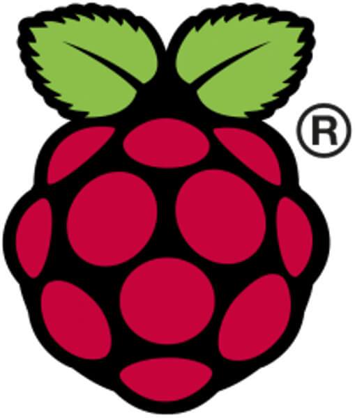 Raspberry Pi Logo